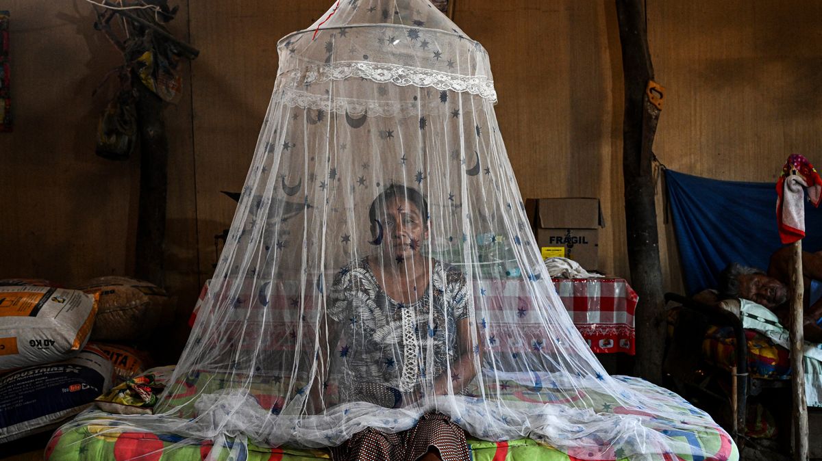 Fotky z Peru: Země nezvládá boj s horečkou dengue